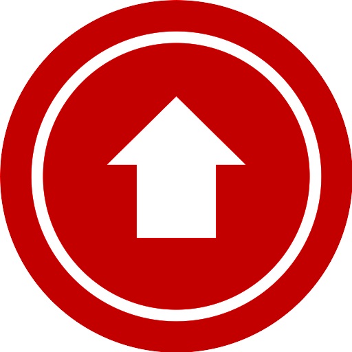 PASSO 4: APLIQUE