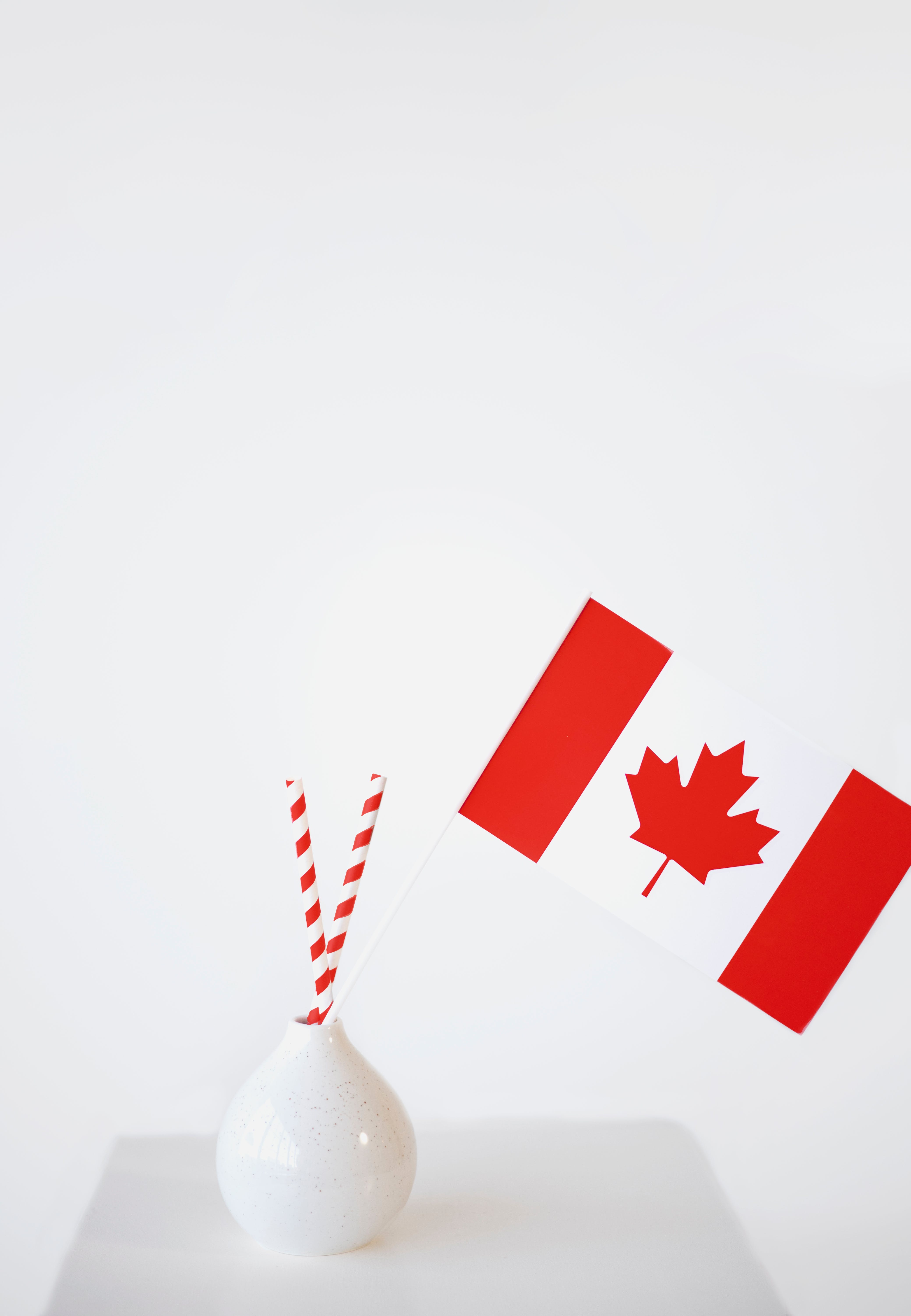O Que Esperar da Imigração Canadense em 2024: Um Guia Completo